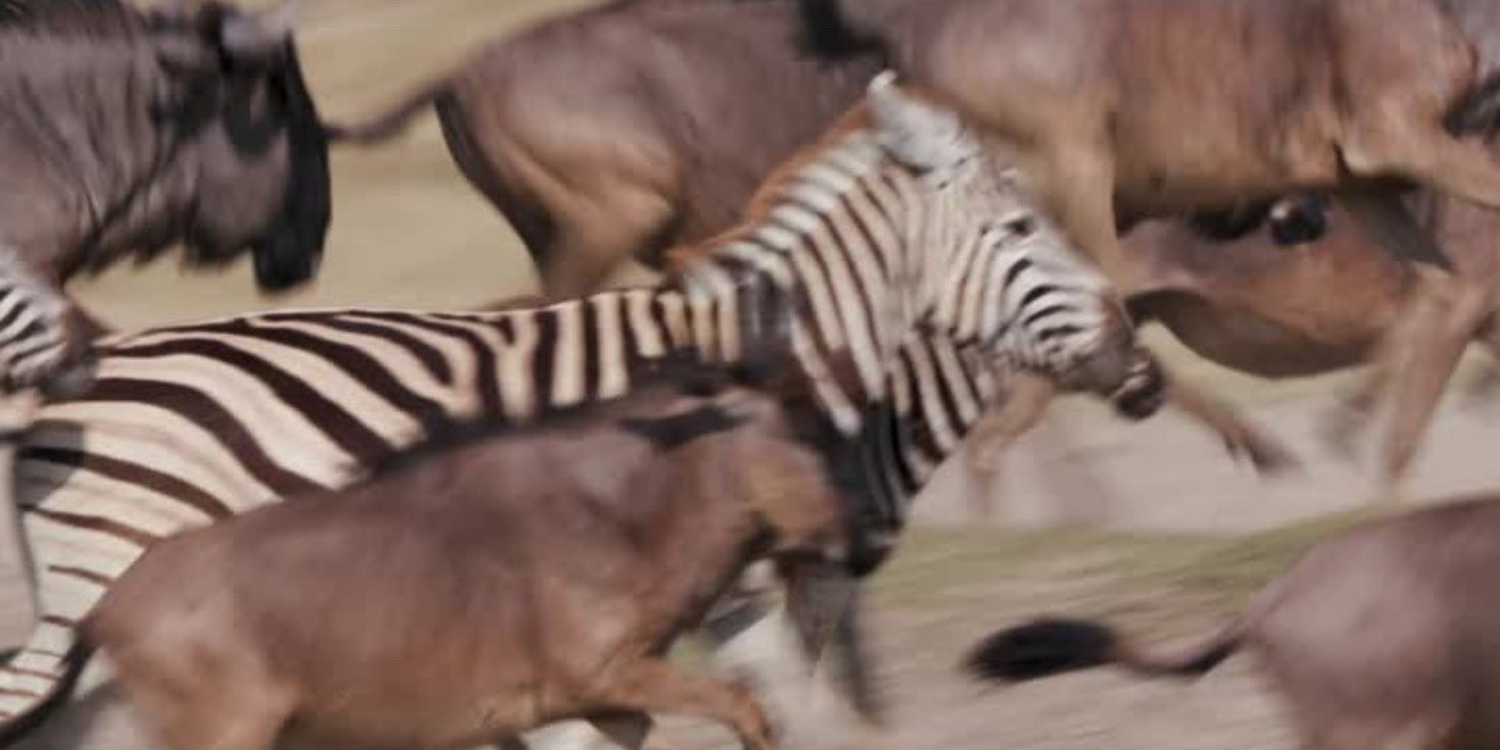Secret destinations: True Tribe's handpicked national parks in Africa