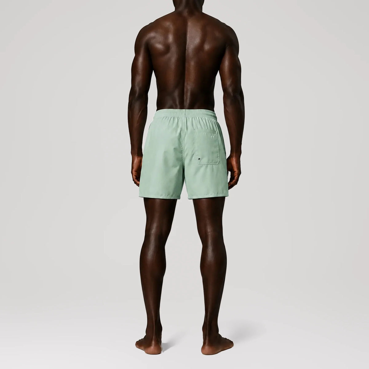 AquaSilk Mint Green Regular Swim Shorts, back view