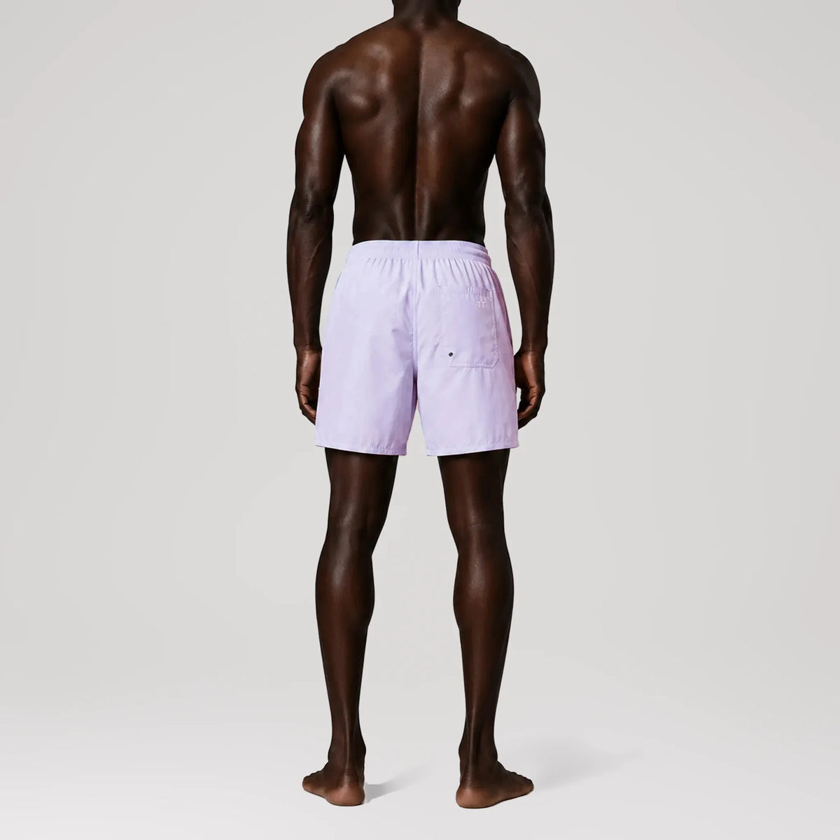 AquaSilk South Regular Swim Shorts, back view