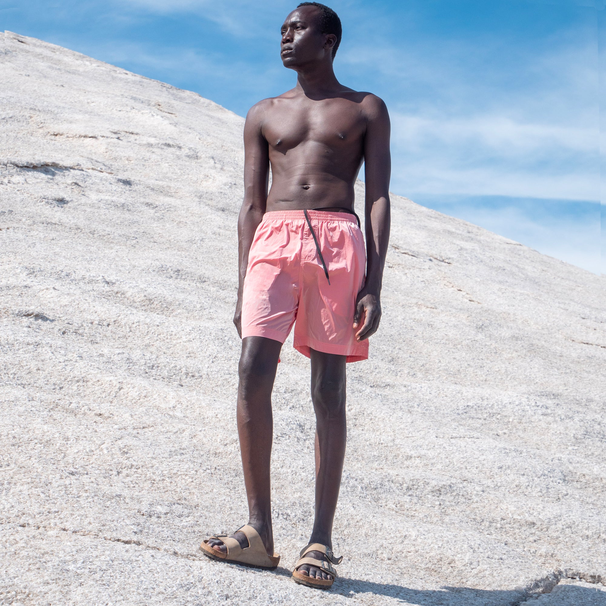 Moon Pink Classic Swim Shorts