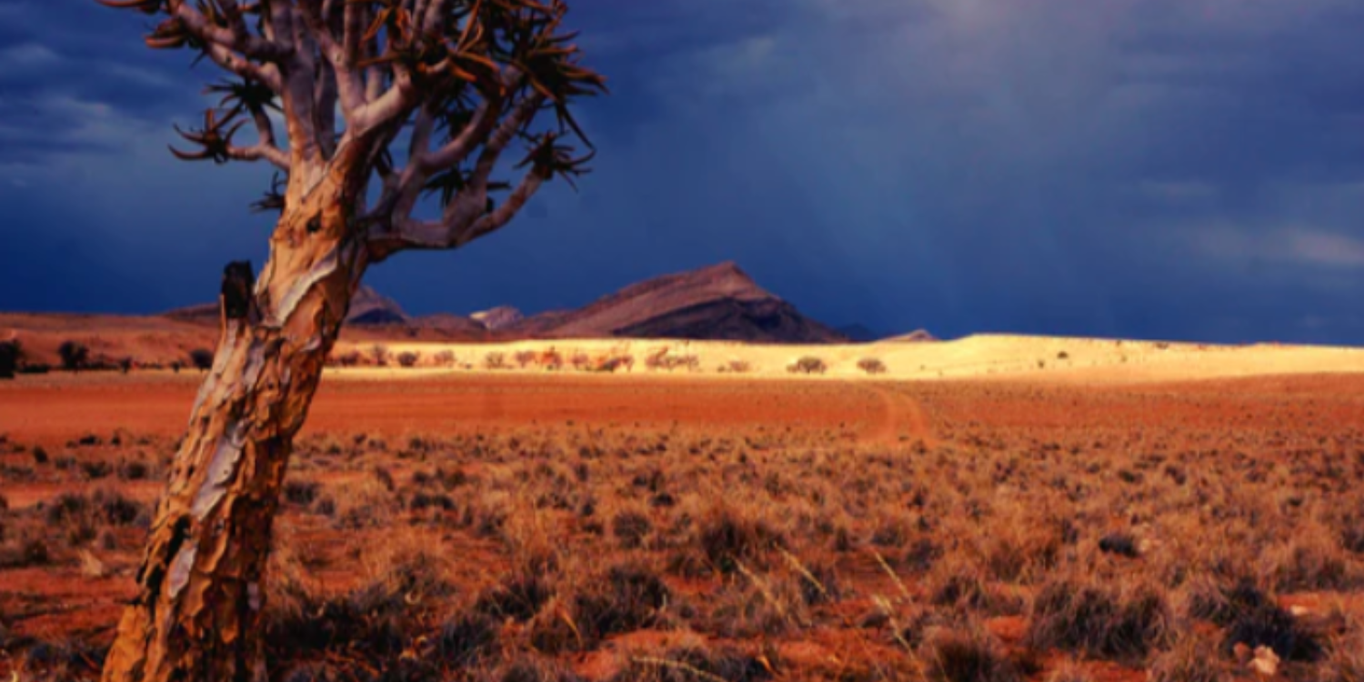 Exploring The Wilds Of Namibia