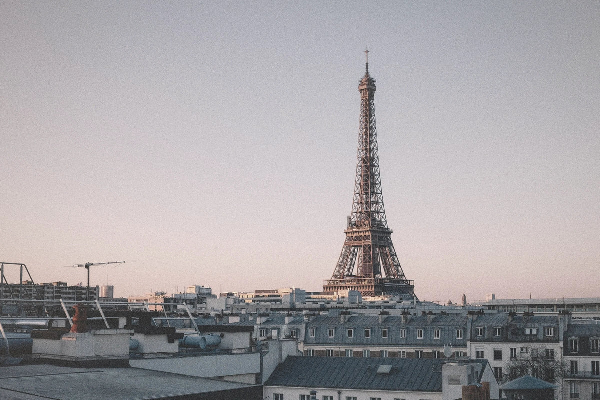 The Eiffel Tower over Paris rooftops at dawn, the sky pale pink, chimneys in the foreground.