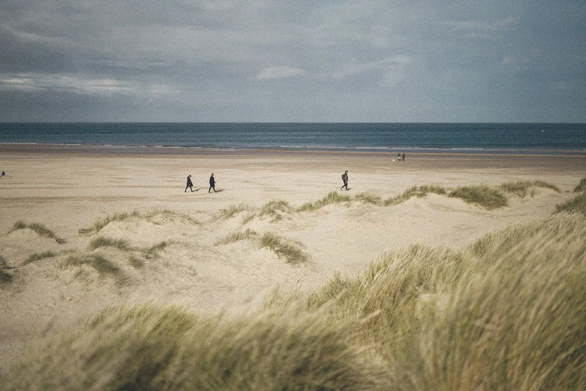 Dune grass bent by wind on a wide beach, figures walking at the waterline.